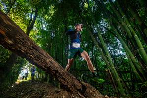 BIB: 2901
                            <button type="button" onclick="openModal(18987358)" class="btn btn-primary btn-sm float-right btn-popup" data-toggle="modal" data-target=".modal-high-quality">
                        <i class="fas fa-shopping-cart"></i> Add to Cart
                    </button>
                                            <button type="button" onclick="isThisMe(18987358, true)" class="btn btn-success btn-sm float-right btn-popup btn-isme hidden" data-toggle="tooltip" data-placement="bottom" title="นี่คือรูปของคุณใช่ไหม คลิกที่นี่เพื่อเอาเข้าอัลบั้ม">
                        <i class="fas fa-plus"></i> Add to album
                    </button>
                    <button type="button" onclick="isThisMe(18987358, false)" class="btn btn-warning btn-sm float-right btn-popup btn-isnotme hidden">
                        <i class="fas fa-ban"></i> Remove from album
                    </button>