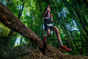 BIB: 
                            <button type="button" onclick="openModal(18997042)" class="btn btn-primary btn-sm float-right btn-popup" data-toggle="modal" data-target=".modal-high-quality">
                        <i class="fas fa-shopping-cart"></i> Add to Cart
                    </button>
                                            <button type="button" onclick="isThisMe(18997042, true)" class="btn btn-success btn-sm float-right btn-popup btn-isme hidden" data-toggle="tooltip" data-placement="bottom" title="นี่คือรูปของคุณใช่ไหม คลิกที่นี่เพื่อเอาเข้าอัลบั้ม">
                        <i class="fas fa-plus"></i> Add to album
                    </button>
                    <button type="button" onclick="isThisMe(18997042, false)" class="btn btn-warning btn-sm float-right btn-popup btn-isnotme hidden">
                        <i class="fas fa-ban"></i> Remove from album
                    </button>