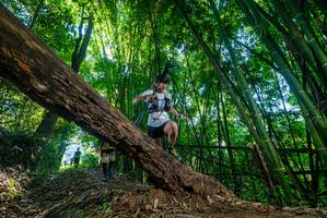 BIB: 
                            <button type="button" onclick="openModal(18998943)" class="btn btn-primary btn-sm float-right btn-popup" data-toggle="modal" data-target=".modal-high-quality">
                        <i class="fas fa-shopping-cart"></i> Add to Cart
                    </button>
                                            <button type="button" onclick="isThisMe(18998943, true)" class="btn btn-success btn-sm float-right btn-popup btn-isme hidden" data-toggle="tooltip" data-placement="bottom" title="นี่คือรูปของคุณใช่ไหม คลิกที่นี่เพื่อเอาเข้าอัลบั้ม">
                        <i class="fas fa-plus"></i> Add to album
                    </button>
                    <button type="button" onclick="isThisMe(18998943, false)" class="btn btn-warning btn-sm float-right btn-popup btn-isnotme hidden">
                        <i class="fas fa-ban"></i> Remove from album
                    </button>