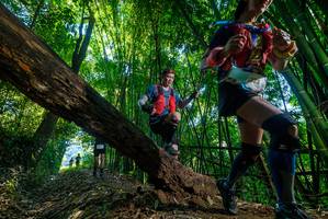 BIB: 
                            <button type="button" onclick="openModal(18996992)" class="btn btn-primary btn-sm float-right btn-popup" data-toggle="modal" data-target=".modal-high-quality">
                        <i class="fas fa-shopping-cart"></i> Add to Cart
                    </button>
                                            <button type="button" onclick="isThisMe(18996992, true)" class="btn btn-success btn-sm float-right btn-popup btn-isme hidden" data-toggle="tooltip" data-placement="bottom" title="นี่คือรูปของคุณใช่ไหม คลิกที่นี่เพื่อเอาเข้าอัลบั้ม">
                        <i class="fas fa-plus"></i> Add to album
                    </button>
                    <button type="button" onclick="isThisMe(18996992, false)" class="btn btn-warning btn-sm float-right btn-popup btn-isnotme hidden">
                        <i class="fas fa-ban"></i> Remove from album
                    </button>