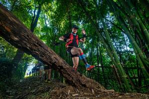 BIB: 
                            <button type="button" onclick="openModal(18997674)" class="btn btn-primary btn-sm float-right btn-popup" data-toggle="modal" data-target=".modal-high-quality">
                        <i class="fas fa-shopping-cart"></i> Add to Cart
                    </button>
                                            <button type="button" onclick="isThisMe(18997674, true)" class="btn btn-success btn-sm float-right btn-popup btn-isme hidden" data-toggle="tooltip" data-placement="bottom" title="นี่คือรูปของคุณใช่ไหม คลิกที่นี่เพื่อเอาเข้าอัลบั้ม">
                        <i class="fas fa-plus"></i> Add to album
                    </button>
                    <button type="button" onclick="isThisMe(18997674, false)" class="btn btn-warning btn-sm float-right btn-popup btn-isnotme hidden">
                        <i class="fas fa-ban"></i> Remove from album
                    </button>