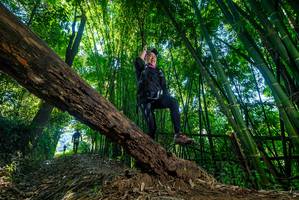 BIB: 
                            <button type="button" onclick="openModal(18997405)" class="btn btn-primary btn-sm float-right btn-popup" data-toggle="modal" data-target=".modal-high-quality">
                        <i class="fas fa-shopping-cart"></i> Add to Cart
                    </button>
                                            <button type="button" onclick="isThisMe(18997405, true)" class="btn btn-success btn-sm float-right btn-popup btn-isme hidden" data-toggle="tooltip" data-placement="bottom" title="นี่คือรูปของคุณใช่ไหม คลิกที่นี่เพื่อเอาเข้าอัลบั้ม">
                        <i class="fas fa-plus"></i> Add to album
                    </button>
                    <button type="button" onclick="isThisMe(18997405, false)" class="btn btn-warning btn-sm float-right btn-popup btn-isnotme hidden">
                        <i class="fas fa-ban"></i> Remove from album
                    </button>