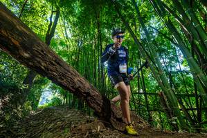 BIB: 249
                            <button type="button" onclick="openModal(19065189)" class="btn btn-primary btn-sm float-right btn-popup" data-toggle="modal" data-target=".modal-high-quality">
                        <i class="fas fa-shopping-cart"></i> Add to Cart
                    </button>
                                            <button type="button" onclick="isThisMe(19065189, true)" class="btn btn-success btn-sm float-right btn-popup btn-isme hidden" data-toggle="tooltip" data-placement="bottom" title="นี่คือรูปของคุณใช่ไหม คลิกที่นี่เพื่อเอาเข้าอัลบั้ม">
                        <i class="fas fa-plus"></i> Add to album
                    </button>
                    <button type="button" onclick="isThisMe(19065189, false)" class="btn btn-warning btn-sm float-right btn-popup btn-isnotme hidden">
                        <i class="fas fa-ban"></i> Remove from album
                    </button>