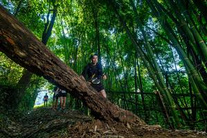 BIB: 
                            <button type="button" onclick="openModal(18997530)" class="btn btn-primary btn-sm float-right btn-popup" data-toggle="modal" data-target=".modal-high-quality">
                        <i class="fas fa-shopping-cart"></i> Add to Cart
                    </button>
                                            <button type="button" onclick="isThisMe(18997530, true)" class="btn btn-success btn-sm float-right btn-popup btn-isme hidden" data-toggle="tooltip" data-placement="bottom" title="นี่คือรูปของคุณใช่ไหม คลิกที่นี่เพื่อเอาเข้าอัลบั้ม">
                        <i class="fas fa-plus"></i> Add to album
                    </button>
                    <button type="button" onclick="isThisMe(18997530, false)" class="btn btn-warning btn-sm float-right btn-popup btn-isnotme hidden">
                        <i class="fas fa-ban"></i> Remove from album
                    </button>