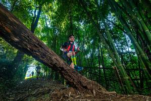 BIB: 
                            <button type="button" onclick="openModal(18998301)" class="btn btn-primary btn-sm float-right btn-popup" data-toggle="modal" data-target=".modal-high-quality">
                        <i class="fas fa-shopping-cart"></i> Add to Cart
                    </button>
                                            <button type="button" onclick="isThisMe(18998301, true)" class="btn btn-success btn-sm float-right btn-popup btn-isme hidden" data-toggle="tooltip" data-placement="bottom" title="นี่คือรูปของคุณใช่ไหม คลิกที่นี่เพื่อเอาเข้าอัลบั้ม">
                        <i class="fas fa-plus"></i> Add to album
                    </button>
                    <button type="button" onclick="isThisMe(18998301, false)" class="btn btn-warning btn-sm float-right btn-popup btn-isnotme hidden">
                        <i class="fas fa-ban"></i> Remove from album
                    </button>