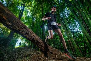 BIB: 
                            <button type="button" onclick="openModal(18990005)" class="btn btn-primary btn-sm float-right btn-popup" data-toggle="modal" data-target=".modal-high-quality">
                        <i class="fas fa-shopping-cart"></i> Add to Cart
                    </button>
                                            <button type="button" onclick="isThisMe(18990005, true)" class="btn btn-success btn-sm float-right btn-popup btn-isme hidden" data-toggle="tooltip" data-placement="bottom" title="นี่คือรูปของคุณใช่ไหม คลิกที่นี่เพื่อเอาเข้าอัลบั้ม">
                        <i class="fas fa-plus"></i> Add to album
                    </button>
                    <button type="button" onclick="isThisMe(18990005, false)" class="btn btn-warning btn-sm float-right btn-popup btn-isnotme hidden">
                        <i class="fas fa-ban"></i> Remove from album
                    </button>