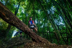 BIB: 
                            <button type="button" onclick="openModal(18990235)" class="btn btn-primary btn-sm float-right btn-popup" data-toggle="modal" data-target=".modal-high-quality">
                        <i class="fas fa-shopping-cart"></i> Add to Cart
                    </button>
                                            <button type="button" onclick="isThisMe(18990235, true)" class="btn btn-success btn-sm float-right btn-popup btn-isme hidden" data-toggle="tooltip" data-placement="bottom" title="นี่คือรูปของคุณใช่ไหม คลิกที่นี่เพื่อเอาเข้าอัลบั้ม">
                        <i class="fas fa-plus"></i> Add to album
                    </button>
                    <button type="button" onclick="isThisMe(18990235, false)" class="btn btn-warning btn-sm float-right btn-popup btn-isnotme hidden">
                        <i class="fas fa-ban"></i> Remove from album
                    </button>