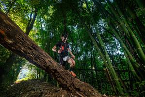 BIB: 
                            <button type="button" onclick="openModal(18987212)" class="btn btn-primary btn-sm float-right btn-popup" data-toggle="modal" data-target=".modal-high-quality">
                        <i class="fas fa-shopping-cart"></i> Add to Cart
                    </button>
                                            <button type="button" onclick="isThisMe(18987212, true)" class="btn btn-success btn-sm float-right btn-popup btn-isme hidden" data-toggle="tooltip" data-placement="bottom" title="นี่คือรูปของคุณใช่ไหม คลิกที่นี่เพื่อเอาเข้าอัลบั้ม">
                        <i class="fas fa-plus"></i> Add to album
                    </button>
                    <button type="button" onclick="isThisMe(18987212, false)" class="btn btn-warning btn-sm float-right btn-popup btn-isnotme hidden">
                        <i class="fas fa-ban"></i> Remove from album
                    </button>