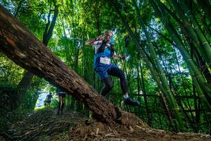 BIB: 
                            <button type="button" onclick="openModal(19000255)" class="btn btn-primary btn-sm float-right btn-popup" data-toggle="modal" data-target=".modal-high-quality">
                        <i class="fas fa-shopping-cart"></i> Add to Cart
                    </button>
                                            <button type="button" onclick="isThisMe(19000255, true)" class="btn btn-success btn-sm float-right btn-popup btn-isme hidden" data-toggle="tooltip" data-placement="bottom" title="นี่คือรูปของคุณใช่ไหม คลิกที่นี่เพื่อเอาเข้าอัลบั้ม">
                        <i class="fas fa-plus"></i> Add to album
                    </button>
                    <button type="button" onclick="isThisMe(19000255, false)" class="btn btn-warning btn-sm float-right btn-popup btn-isnotme hidden">
                        <i class="fas fa-ban"></i> Remove from album
                    </button>