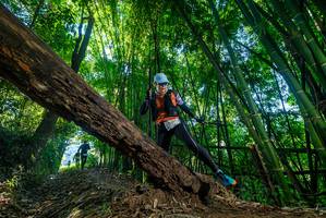 BIB: 
                            <button type="button" onclick="openModal(18997383)" class="btn btn-primary btn-sm float-right btn-popup" data-toggle="modal" data-target=".modal-high-quality">
                        <i class="fas fa-shopping-cart"></i> Add to Cart
                    </button>
                                            <button type="button" onclick="isThisMe(18997383, true)" class="btn btn-success btn-sm float-right btn-popup btn-isme hidden" data-toggle="tooltip" data-placement="bottom" title="นี่คือรูปของคุณใช่ไหม คลิกที่นี่เพื่อเอาเข้าอัลบั้ม">
                        <i class="fas fa-plus"></i> Add to album
                    </button>
                    <button type="button" onclick="isThisMe(18997383, false)" class="btn btn-warning btn-sm float-right btn-popup btn-isnotme hidden">
                        <i class="fas fa-ban"></i> Remove from album
                    </button>