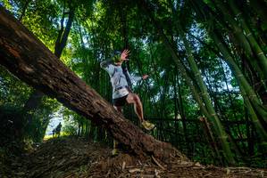 BIB: 
                            <button type="button" onclick="openModal(18990067)" class="btn btn-primary btn-sm float-right btn-popup" data-toggle="modal" data-target=".modal-high-quality">
                        <i class="fas fa-shopping-cart"></i> Add to Cart
                    </button>
                                            <button type="button" onclick="isThisMe(18990067, true)" class="btn btn-success btn-sm float-right btn-popup btn-isme hidden" data-toggle="tooltip" data-placement="bottom" title="นี่คือรูปของคุณใช่ไหม คลิกที่นี่เพื่อเอาเข้าอัลบั้ม">
                        <i class="fas fa-plus"></i> Add to album
                    </button>
                    <button type="button" onclick="isThisMe(18990067, false)" class="btn btn-warning btn-sm float-right btn-popup btn-isnotme hidden">
                        <i class="fas fa-ban"></i> Remove from album
                    </button>