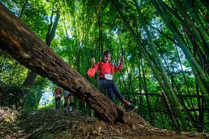 BIB: 
                            <button type="button" onclick="openModal(19000111)" class="btn btn-primary btn-sm float-right btn-popup" data-toggle="modal" data-target=".modal-high-quality">
                        <i class="fas fa-shopping-cart"></i> Add to Cart
                    </button>
                                            <button type="button" onclick="isThisMe(19000111, true)" class="btn btn-success btn-sm float-right btn-popup btn-isme hidden" data-toggle="tooltip" data-placement="bottom" title="นี่คือรูปของคุณใช่ไหม คลิกที่นี่เพื่อเอาเข้าอัลบั้ม">
                        <i class="fas fa-plus"></i> Add to album
                    </button>
                    <button type="button" onclick="isThisMe(19000111, false)" class="btn btn-warning btn-sm float-right btn-popup btn-isnotme hidden">
                        <i class="fas fa-ban"></i> Remove from album
                    </button>