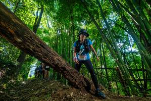 BIB: 2404, 
                            <button type="button" onclick="openModal(19064666)" class="btn btn-primary btn-sm float-right btn-popup" data-toggle="modal" data-target=".modal-high-quality">
                        <i class="fas fa-shopping-cart"></i> Add to Cart
                    </button>
                                            <button type="button" onclick="isThisMe(19064666, true)" class="btn btn-success btn-sm float-right btn-popup btn-isme hidden" data-toggle="tooltip" data-placement="bottom" title="นี่คือรูปของคุณใช่ไหม คลิกที่นี่เพื่อเอาเข้าอัลบั้ม">
                        <i class="fas fa-plus"></i> Add to album
                    </button>
                    <button type="button" onclick="isThisMe(19064666, false)" class="btn btn-warning btn-sm float-right btn-popup btn-isnotme hidden">
                        <i class="fas fa-ban"></i> Remove from album
                    </button>