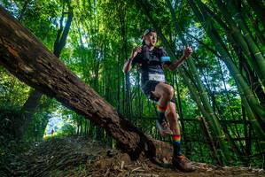 BIB: 2925
                            <button type="button" onclick="openModal(19000733)" class="btn btn-primary btn-sm float-right btn-popup" data-toggle="modal" data-target=".modal-high-quality">
                        <i class="fas fa-shopping-cart"></i> Add to Cart
                    </button>
                                            <button type="button" onclick="isThisMe(19000733, true)" class="btn btn-success btn-sm float-right btn-popup btn-isme hidden" data-toggle="tooltip" data-placement="bottom" title="นี่คือรูปของคุณใช่ไหม คลิกที่นี่เพื่อเอาเข้าอัลบั้ม">
                        <i class="fas fa-plus"></i> Add to album
                    </button>
                    <button type="button" onclick="isThisMe(19000733, false)" class="btn btn-warning btn-sm float-right btn-popup btn-isnotme hidden">
                        <i class="fas fa-ban"></i> Remove from album
                    </button>