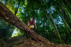 BIB: 
                            <button type="button" onclick="openModal(18987783)" class="btn btn-primary btn-sm float-right btn-popup" data-toggle="modal" data-target=".modal-high-quality">
                        <i class="fas fa-shopping-cart"></i> Add to Cart
                    </button>
                                            <button type="button" onclick="isThisMe(18987783, true)" class="btn btn-success btn-sm float-right btn-popup btn-isme hidden" data-toggle="tooltip" data-placement="bottom" title="นี่คือรูปของคุณใช่ไหม คลิกที่นี่เพื่อเอาเข้าอัลบั้ม">
                        <i class="fas fa-plus"></i> Add to album
                    </button>
                    <button type="button" onclick="isThisMe(18987783, false)" class="btn btn-warning btn-sm float-right btn-popup btn-isnotme hidden">
                        <i class="fas fa-ban"></i> Remove from album
                    </button>