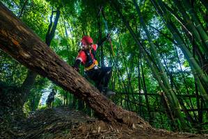 BIB: 
                            <button type="button" onclick="openModal(19056494)" class="btn btn-primary btn-sm float-right btn-popup" data-toggle="modal" data-target=".modal-high-quality">
                        <i class="fas fa-shopping-cart"></i> Add to Cart
                    </button>
                                            <button type="button" onclick="isThisMe(19056494, true)" class="btn btn-success btn-sm float-right btn-popup btn-isme hidden" data-toggle="tooltip" data-placement="bottom" title="นี่คือรูปของคุณใช่ไหม คลิกที่นี่เพื่อเอาเข้าอัลบั้ม">
                        <i class="fas fa-plus"></i> Add to album
                    </button>
                    <button type="button" onclick="isThisMe(19056494, false)" class="btn btn-warning btn-sm float-right btn-popup btn-isnotme hidden">
                        <i class="fas fa-ban"></i> Remove from album
                    </button>