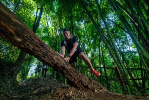 BIB: 
                            <button type="button" onclick="openModal(19056590)" class="btn btn-primary btn-sm float-right btn-popup" data-toggle="modal" data-target=".modal-high-quality">
                        <i class="fas fa-shopping-cart"></i> Add to Cart
                    </button>
                                            <button type="button" onclick="isThisMe(19056590, true)" class="btn btn-success btn-sm float-right btn-popup btn-isme hidden" data-toggle="tooltip" data-placement="bottom" title="นี่คือรูปของคุณใช่ไหม คลิกที่นี่เพื่อเอาเข้าอัลบั้ม">
                        <i class="fas fa-plus"></i> Add to album
                    </button>
                    <button type="button" onclick="isThisMe(19056590, false)" class="btn btn-warning btn-sm float-right btn-popup btn-isnotme hidden">
                        <i class="fas fa-ban"></i> Remove from album
                    </button>