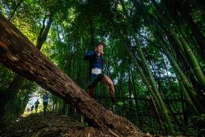 BIB: 
                            <button type="button" onclick="openModal(18987357)" class="btn btn-primary btn-sm float-right btn-popup" data-toggle="modal" data-target=".modal-high-quality">
                        <i class="fas fa-shopping-cart"></i> Add to Cart
                    </button>
                                            <button type="button" onclick="isThisMe(18987357, true)" class="btn btn-success btn-sm float-right btn-popup btn-isme hidden" data-toggle="tooltip" data-placement="bottom" title="นี่คือรูปของคุณใช่ไหม คลิกที่นี่เพื่อเอาเข้าอัลบั้ม">
                        <i class="fas fa-plus"></i> Add to album
                    </button>
                    <button type="button" onclick="isThisMe(18987357, false)" class="btn btn-warning btn-sm float-right btn-popup btn-isnotme hidden">
                        <i class="fas fa-ban"></i> Remove from album
                    </button>