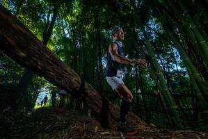 BIB: 
                            <button type="button" onclick="openModal(18990576)" class="btn btn-primary btn-sm float-right btn-popup" data-toggle="modal" data-target=".modal-high-quality">
                        <i class="fas fa-shopping-cart"></i> Add to Cart
                    </button>
                                            <button type="button" onclick="isThisMe(18990576, true)" class="btn btn-success btn-sm float-right btn-popup btn-isme hidden" data-toggle="tooltip" data-placement="bottom" title="นี่คือรูปของคุณใช่ไหม คลิกที่นี่เพื่อเอาเข้าอัลบั้ม">
                        <i class="fas fa-plus"></i> Add to album
                    </button>
                    <button type="button" onclick="isThisMe(18990576, false)" class="btn btn-warning btn-sm float-right btn-popup btn-isnotme hidden">
                        <i class="fas fa-ban"></i> Remove from album
                    </button>