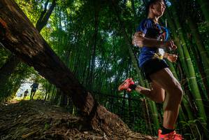 BIB: 
                            <button type="button" onclick="openModal(18986643)" class="btn btn-primary btn-sm float-right btn-popup" data-toggle="modal" data-target=".modal-high-quality">
                        <i class="fas fa-shopping-cart"></i> Add to Cart
                    </button>
                                            <button type="button" onclick="isThisMe(18986643, true)" class="btn btn-success btn-sm float-right btn-popup btn-isme hidden" data-toggle="tooltip" data-placement="bottom" title="นี่คือรูปของคุณใช่ไหม คลิกที่นี่เพื่อเอาเข้าอัลบั้ม">
                        <i class="fas fa-plus"></i> Add to album
                    </button>
                    <button type="button" onclick="isThisMe(18986643, false)" class="btn btn-warning btn-sm float-right btn-popup btn-isnotme hidden">
                        <i class="fas fa-ban"></i> Remove from album
                    </button>