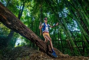 BIB: 
                            <button type="button" onclick="openModal(18990102)" class="btn btn-primary btn-sm float-right btn-popup" data-toggle="modal" data-target=".modal-high-quality">
                        <i class="fas fa-shopping-cart"></i> Add to Cart
                    </button>
                                            <button type="button" onclick="isThisMe(18990102, true)" class="btn btn-success btn-sm float-right btn-popup btn-isme hidden" data-toggle="tooltip" data-placement="bottom" title="นี่คือรูปของคุณใช่ไหม คลิกที่นี่เพื่อเอาเข้าอัลบั้ม">
                        <i class="fas fa-plus"></i> Add to album
                    </button>
                    <button type="button" onclick="isThisMe(18990102, false)" class="btn btn-warning btn-sm float-right btn-popup btn-isnotme hidden">
                        <i class="fas fa-ban"></i> Remove from album
                    </button>