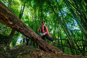 BIB: 5019
                            <button type="button" onclick="openModal(19063414)" class="btn btn-primary btn-sm float-right btn-popup" data-toggle="modal" data-target=".modal-high-quality">
                        <i class="fas fa-shopping-cart"></i> Add to Cart
                    </button>
                                            <button type="button" onclick="isThisMe(19063414, true)" class="btn btn-success btn-sm float-right btn-popup btn-isme hidden" data-toggle="tooltip" data-placement="bottom" title="นี่คือรูปของคุณใช่ไหม คลิกที่นี่เพื่อเอาเข้าอัลบั้ม">
                        <i class="fas fa-plus"></i> Add to album
                    </button>
                    <button type="button" onclick="isThisMe(19063414, false)" class="btn btn-warning btn-sm float-right btn-popup btn-isnotme hidden">
                        <i class="fas fa-ban"></i> Remove from album
                    </button>