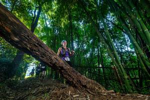 BIB: 
                            <button type="button" onclick="openModal(18994151)" class="btn btn-primary btn-sm float-right btn-popup" data-toggle="modal" data-target=".modal-high-quality">
                        <i class="fas fa-shopping-cart"></i> Add to Cart
                    </button>
                                            <button type="button" onclick="isThisMe(18994151, true)" class="btn btn-success btn-sm float-right btn-popup btn-isme hidden" data-toggle="tooltip" data-placement="bottom" title="นี่คือรูปของคุณใช่ไหม คลิกที่นี่เพื่อเอาเข้าอัลบั้ม">
                        <i class="fas fa-plus"></i> Add to album
                    </button>
                    <button type="button" onclick="isThisMe(18994151, false)" class="btn btn-warning btn-sm float-right btn-popup btn-isnotme hidden">
                        <i class="fas fa-ban"></i> Remove from album
                    </button>