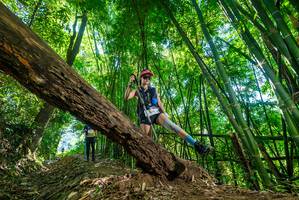 BIB: 
                            <button type="button" onclick="openModal(19069840)" class="btn btn-primary btn-sm float-right btn-popup" data-toggle="modal" data-target=".modal-high-quality">
                        <i class="fas fa-shopping-cart"></i> Add to Cart
                    </button>
                                            <button type="button" onclick="isThisMe(19069840, true)" class="btn btn-success btn-sm float-right btn-popup btn-isme hidden" data-toggle="tooltip" data-placement="bottom" title="นี่คือรูปของคุณใช่ไหม คลิกที่นี่เพื่อเอาเข้าอัลบั้ม">
                        <i class="fas fa-plus"></i> Add to album
                    </button>
                    <button type="button" onclick="isThisMe(19069840, false)" class="btn btn-warning btn-sm float-right btn-popup btn-isnotme hidden">
                        <i class="fas fa-ban"></i> Remove from album
                    </button>