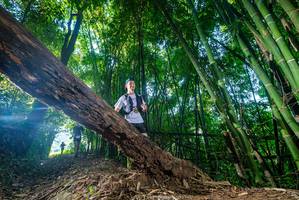 BIB: 
                            <button type="button" onclick="openModal(18989942)" class="btn btn-primary btn-sm float-right btn-popup" data-toggle="modal" data-target=".modal-high-quality">
                        <i class="fas fa-shopping-cart"></i> Add to Cart
                    </button>
                                            <button type="button" onclick="isThisMe(18989942, true)" class="btn btn-success btn-sm float-right btn-popup btn-isme hidden" data-toggle="tooltip" data-placement="bottom" title="นี่คือรูปของคุณใช่ไหม คลิกที่นี่เพื่อเอาเข้าอัลบั้ม">
                        <i class="fas fa-plus"></i> Add to album
                    </button>
                    <button type="button" onclick="isThisMe(18989942, false)" class="btn btn-warning btn-sm float-right btn-popup btn-isnotme hidden">
                        <i class="fas fa-ban"></i> Remove from album
                    </button>