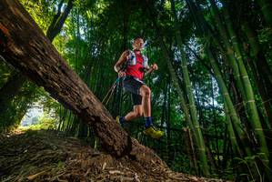 BIB: 
                            <button type="button" onclick="openModal(18986725)" class="btn btn-primary btn-sm float-right btn-popup" data-toggle="modal" data-target=".modal-high-quality">
                        <i class="fas fa-shopping-cart"></i> Add to Cart
                    </button>
                                            <button type="button" onclick="isThisMe(18986725, true)" class="btn btn-success btn-sm float-right btn-popup btn-isme hidden" data-toggle="tooltip" data-placement="bottom" title="นี่คือรูปของคุณใช่ไหม คลิกที่นี่เพื่อเอาเข้าอัลบั้ม">
                        <i class="fas fa-plus"></i> Add to album
                    </button>
                    <button type="button" onclick="isThisMe(18986725, false)" class="btn btn-warning btn-sm float-right btn-popup btn-isnotme hidden">
                        <i class="fas fa-ban"></i> Remove from album
                    </button>