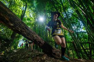 BIB: 
                            <button type="button" onclick="openModal(19064126)" class="btn btn-primary btn-sm float-right btn-popup" data-toggle="modal" data-target=".modal-high-quality">
                        <i class="fas fa-shopping-cart"></i> Add to Cart
                    </button>
                                            <button type="button" onclick="isThisMe(19064126, true)" class="btn btn-success btn-sm float-right btn-popup btn-isme hidden" data-toggle="tooltip" data-placement="bottom" title="นี่คือรูปของคุณใช่ไหม คลิกที่นี่เพื่อเอาเข้าอัลบั้ม">
                        <i class="fas fa-plus"></i> Add to album
                    </button>
                    <button type="button" onclick="isThisMe(19064126, false)" class="btn btn-warning btn-sm float-right btn-popup btn-isnotme hidden">
                        <i class="fas fa-ban"></i> Remove from album
                    </button>