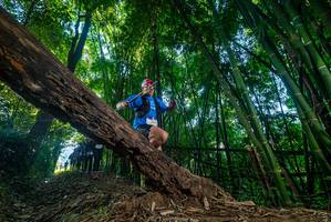 BIB: 
                            <button type="button" onclick="openModal(18997978)" class="btn btn-primary btn-sm float-right btn-popup" data-toggle="modal" data-target=".modal-high-quality">
                        <i class="fas fa-shopping-cart"></i> Add to Cart
                    </button>
                                            <button type="button" onclick="isThisMe(18997978, true)" class="btn btn-success btn-sm float-right btn-popup btn-isme hidden" data-toggle="tooltip" data-placement="bottom" title="นี่คือรูปของคุณใช่ไหม คลิกที่นี่เพื่อเอาเข้าอัลบั้ม">
                        <i class="fas fa-plus"></i> Add to album
                    </button>
                    <button type="button" onclick="isThisMe(18997978, false)" class="btn btn-warning btn-sm float-right btn-popup btn-isnotme hidden">
                        <i class="fas fa-ban"></i> Remove from album
                    </button>