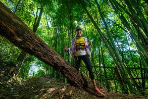 BIB: 3457
                            <button type="button" onclick="openModal(19069722)" class="btn btn-primary btn-sm float-right btn-popup" data-toggle="modal" data-target=".modal-high-quality">
                        <i class="fas fa-shopping-cart"></i> Add to Cart
                    </button>
                                            <button type="button" onclick="isThisMe(19069722, true)" class="btn btn-success btn-sm float-right btn-popup btn-isme hidden" data-toggle="tooltip" data-placement="bottom" title="นี่คือรูปของคุณใช่ไหม คลิกที่นี่เพื่อเอาเข้าอัลบั้ม">
                        <i class="fas fa-plus"></i> Add to album
                    </button>
                    <button type="button" onclick="isThisMe(19069722, false)" class="btn btn-warning btn-sm float-right btn-popup btn-isnotme hidden">
                        <i class="fas fa-ban"></i> Remove from album
                    </button>