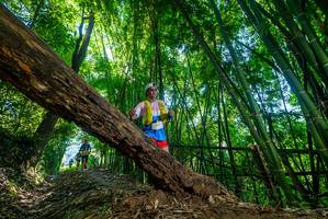 BIB: 
                            <button type="button" onclick="openModal(19054351)" class="btn btn-primary btn-sm float-right btn-popup" data-toggle="modal" data-target=".modal-high-quality">
                        <i class="fas fa-shopping-cart"></i> Add to Cart
                    </button>
                                            <button type="button" onclick="isThisMe(19054351, true)" class="btn btn-success btn-sm float-right btn-popup btn-isme hidden" data-toggle="tooltip" data-placement="bottom" title="นี่คือรูปของคุณใช่ไหม คลิกที่นี่เพื่อเอาเข้าอัลบั้ม">
                        <i class="fas fa-plus"></i> Add to album
                    </button>
                    <button type="button" onclick="isThisMe(19054351, false)" class="btn btn-warning btn-sm float-right btn-popup btn-isnotme hidden">
                        <i class="fas fa-ban"></i> Remove from album
                    </button>