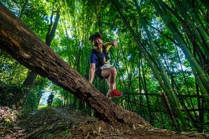 BIB: 
                            <button type="button" onclick="openModal(19000374)" class="btn btn-primary btn-sm float-right btn-popup" data-toggle="modal" data-target=".modal-high-quality">
                        <i class="fas fa-shopping-cart"></i> Add to Cart
                    </button>
                                            <button type="button" onclick="isThisMe(19000374, true)" class="btn btn-success btn-sm float-right btn-popup btn-isme hidden" data-toggle="tooltip" data-placement="bottom" title="นี่คือรูปของคุณใช่ไหม คลิกที่นี่เพื่อเอาเข้าอัลบั้ม">
                        <i class="fas fa-plus"></i> Add to album
                    </button>
                    <button type="button" onclick="isThisMe(19000374, false)" class="btn btn-warning btn-sm float-right btn-popup btn-isnotme hidden">
                        <i class="fas fa-ban"></i> Remove from album
                    </button>