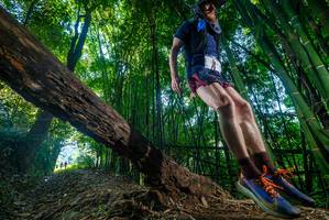 BIB: 
                            <button type="button" onclick="openModal(18990704)" class="btn btn-primary btn-sm float-right btn-popup" data-toggle="modal" data-target=".modal-high-quality">
                        <i class="fas fa-shopping-cart"></i> Add to Cart
                    </button>
                                            <button type="button" onclick="isThisMe(18990704, true)" class="btn btn-success btn-sm float-right btn-popup btn-isme hidden" data-toggle="tooltip" data-placement="bottom" title="นี่คือรูปของคุณใช่ไหม คลิกที่นี่เพื่อเอาเข้าอัลบั้ม">
                        <i class="fas fa-plus"></i> Add to album
                    </button>
                    <button type="button" onclick="isThisMe(18990704, false)" class="btn btn-warning btn-sm float-right btn-popup btn-isnotme hidden">
                        <i class="fas fa-ban"></i> Remove from album
                    </button>