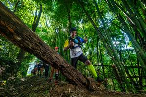 BIB: 2750
                            <button type="button" onclick="openModal(19064484)" class="btn btn-primary btn-sm float-right btn-popup" data-toggle="modal" data-target=".modal-high-quality">
                        <i class="fas fa-shopping-cart"></i> Add to Cart
                    </button>
                                            <button type="button" onclick="isThisMe(19064484, true)" class="btn btn-success btn-sm float-right btn-popup btn-isme hidden" data-toggle="tooltip" data-placement="bottom" title="นี่คือรูปของคุณใช่ไหม คลิกที่นี่เพื่อเอาเข้าอัลบั้ม">
                        <i class="fas fa-plus"></i> Add to album
                    </button>
                    <button type="button" onclick="isThisMe(19064484, false)" class="btn btn-warning btn-sm float-right btn-popup btn-isnotme hidden">
                        <i class="fas fa-ban"></i> Remove from album
                    </button>