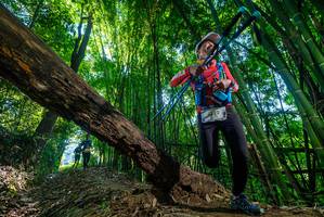 BIB: 
                            <button type="button" onclick="openModal(19000534)" class="btn btn-primary btn-sm float-right btn-popup" data-toggle="modal" data-target=".modal-high-quality">
                        <i class="fas fa-shopping-cart"></i> Add to Cart
                    </button>
                                            <button type="button" onclick="isThisMe(19000534, true)" class="btn btn-success btn-sm float-right btn-popup btn-isme hidden" data-toggle="tooltip" data-placement="bottom" title="นี่คือรูปของคุณใช่ไหม คลิกที่นี่เพื่อเอาเข้าอัลบั้ม">
                        <i class="fas fa-plus"></i> Add to album
                    </button>
                    <button type="button" onclick="isThisMe(19000534, false)" class="btn btn-warning btn-sm float-right btn-popup btn-isnotme hidden">
                        <i class="fas fa-ban"></i> Remove from album
                    </button>