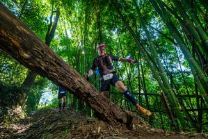 BIB: 2011, 
                            <button type="button" onclick="openModal(19046365)" class="btn btn-primary btn-sm float-right btn-popup" data-toggle="modal" data-target=".modal-high-quality">
                        <i class="fas fa-shopping-cart"></i> Add to Cart
                    </button>
                                            <button type="button" onclick="isThisMe(19046365, true)" class="btn btn-success btn-sm float-right btn-popup btn-isme hidden" data-toggle="tooltip" data-placement="bottom" title="นี่คือรูปของคุณใช่ไหม คลิกที่นี่เพื่อเอาเข้าอัลบั้ม">
                        <i class="fas fa-plus"></i> Add to album
                    </button>
                    <button type="button" onclick="isThisMe(19046365, false)" class="btn btn-warning btn-sm float-right btn-popup btn-isnotme hidden">
                        <i class="fas fa-ban"></i> Remove from album
                    </button>