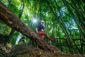 BIB: 
                            <button type="button" onclick="openModal(19054699)" class="btn btn-primary btn-sm float-right btn-popup" data-toggle="modal" data-target=".modal-high-quality">
                        <i class="fas fa-shopping-cart"></i> Add to Cart
                    </button>
                                            <button type="button" onclick="isThisMe(19054699, true)" class="btn btn-success btn-sm float-right btn-popup btn-isme hidden" data-toggle="tooltip" data-placement="bottom" title="นี่คือรูปของคุณใช่ไหม คลิกที่นี่เพื่อเอาเข้าอัลบั้ม">
                        <i class="fas fa-plus"></i> Add to album
                    </button>
                    <button type="button" onclick="isThisMe(19054699, false)" class="btn btn-warning btn-sm float-right btn-popup btn-isnotme hidden">
                        <i class="fas fa-ban"></i> Remove from album
                    </button>