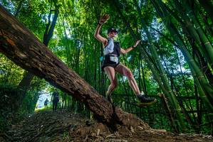 BIB: 
                            <button type="button" onclick="openModal(18998182)" class="btn btn-primary btn-sm float-right btn-popup" data-toggle="modal" data-target=".modal-high-quality">
                        <i class="fas fa-shopping-cart"></i> Add to Cart
                    </button>
                                            <button type="button" onclick="isThisMe(18998182, true)" class="btn btn-success btn-sm float-right btn-popup btn-isme hidden" data-toggle="tooltip" data-placement="bottom" title="นี่คือรูปของคุณใช่ไหม คลิกที่นี่เพื่อเอาเข้าอัลบั้ม">
                        <i class="fas fa-plus"></i> Add to album
                    </button>
                    <button type="button" onclick="isThisMe(18998182, false)" class="btn btn-warning btn-sm float-right btn-popup btn-isnotme hidden">
                        <i class="fas fa-ban"></i> Remove from album
                    </button>