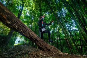 BIB: 
                            <button type="button" onclick="openModal(18998004)" class="btn btn-primary btn-sm float-right btn-popup" data-toggle="modal" data-target=".modal-high-quality">
                        <i class="fas fa-shopping-cart"></i> Add to Cart
                    </button>
                                            <button type="button" onclick="isThisMe(18998004, true)" class="btn btn-success btn-sm float-right btn-popup btn-isme hidden" data-toggle="tooltip" data-placement="bottom" title="นี่คือรูปของคุณใช่ไหม คลิกที่นี่เพื่อเอาเข้าอัลบั้ม">
                        <i class="fas fa-plus"></i> Add to album
                    </button>
                    <button type="button" onclick="isThisMe(18998004, false)" class="btn btn-warning btn-sm float-right btn-popup btn-isnotme hidden">
                        <i class="fas fa-ban"></i> Remove from album
                    </button>