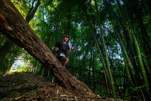 BIB: 
                            <button type="button" onclick="openModal(18986997)" class="btn btn-primary btn-sm float-right btn-popup" data-toggle="modal" data-target=".modal-high-quality">
                        <i class="fas fa-shopping-cart"></i> Add to Cart
                    </button>
                                            <button type="button" onclick="isThisMe(18986997, true)" class="btn btn-success btn-sm float-right btn-popup btn-isme hidden" data-toggle="tooltip" data-placement="bottom" title="นี่คือรูปของคุณใช่ไหม คลิกที่นี่เพื่อเอาเข้าอัลบั้ม">
                        <i class="fas fa-plus"></i> Add to album
                    </button>
                    <button type="button" onclick="isThisMe(18986997, false)" class="btn btn-warning btn-sm float-right btn-popup btn-isnotme hidden">
                        <i class="fas fa-ban"></i> Remove from album
                    </button>