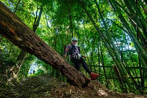 BIB: 
                            <button type="button" onclick="openModal(19067632)" class="btn btn-primary btn-sm float-right btn-popup" data-toggle="modal" data-target=".modal-high-quality">
                        <i class="fas fa-shopping-cart"></i> Add to Cart
                    </button>
                                            <button type="button" onclick="isThisMe(19067632, true)" class="btn btn-success btn-sm float-right btn-popup btn-isme hidden" data-toggle="tooltip" data-placement="bottom" title="นี่คือรูปของคุณใช่ไหม คลิกที่นี่เพื่อเอาเข้าอัลบั้ม">
                        <i class="fas fa-plus"></i> Add to album
                    </button>
                    <button type="button" onclick="isThisMe(19067632, false)" class="btn btn-warning btn-sm float-right btn-popup btn-isnotme hidden">
                        <i class="fas fa-ban"></i> Remove from album
                    </button>