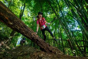 BIB: 2609
                            <button type="button" onclick="openModal(19065644)" class="btn btn-primary btn-sm float-right btn-popup" data-toggle="modal" data-target=".modal-high-quality">
                        <i class="fas fa-shopping-cart"></i> Add to Cart
                    </button>
                                            <button type="button" onclick="isThisMe(19065644, true)" class="btn btn-success btn-sm float-right btn-popup btn-isme hidden" data-toggle="tooltip" data-placement="bottom" title="นี่คือรูปของคุณใช่ไหม คลิกที่นี่เพื่อเอาเข้าอัลบั้ม">
                        <i class="fas fa-plus"></i> Add to album
                    </button>
                    <button type="button" onclick="isThisMe(19065644, false)" class="btn btn-warning btn-sm float-right btn-popup btn-isnotme hidden">
                        <i class="fas fa-ban"></i> Remove from album
                    </button>