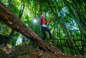 BIB: 244
                            <button type="button" onclick="openModal(19054905)" class="btn btn-primary btn-sm float-right btn-popup" data-toggle="modal" data-target=".modal-high-quality">
                        <i class="fas fa-shopping-cart"></i> Add to Cart
                    </button>
                                            <button type="button" onclick="isThisMe(19054905, true)" class="btn btn-success btn-sm float-right btn-popup btn-isme hidden" data-toggle="tooltip" data-placement="bottom" title="นี่คือรูปของคุณใช่ไหม คลิกที่นี่เพื่อเอาเข้าอัลบั้ม">
                        <i class="fas fa-plus"></i> Add to album
                    </button>
                    <button type="button" onclick="isThisMe(19054905, false)" class="btn btn-warning btn-sm float-right btn-popup btn-isnotme hidden">
                        <i class="fas fa-ban"></i> Remove from album
                    </button>