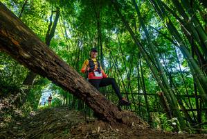 BIB: 
                            <button type="button" onclick="openModal(19065516)" class="btn btn-primary btn-sm float-right btn-popup" data-toggle="modal" data-target=".modal-high-quality">
                        <i class="fas fa-shopping-cart"></i> Add to Cart
                    </button>
                                            <button type="button" onclick="isThisMe(19065516, true)" class="btn btn-success btn-sm float-right btn-popup btn-isme hidden" data-toggle="tooltip" data-placement="bottom" title="นี่คือรูปของคุณใช่ไหม คลิกที่นี่เพื่อเอาเข้าอัลบั้ม">
                        <i class="fas fa-plus"></i> Add to album
                    </button>
                    <button type="button" onclick="isThisMe(19065516, false)" class="btn btn-warning btn-sm float-right btn-popup btn-isnotme hidden">
                        <i class="fas fa-ban"></i> Remove from album
                    </button>