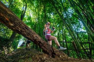 BIB: 
                            <button type="button" onclick="openModal(19055449)" class="btn btn-primary btn-sm float-right btn-popup" data-toggle="modal" data-target=".modal-high-quality">
                        <i class="fas fa-shopping-cart"></i> Add to Cart
                    </button>
                                            <button type="button" onclick="isThisMe(19055449, true)" class="btn btn-success btn-sm float-right btn-popup btn-isme hidden" data-toggle="tooltip" data-placement="bottom" title="นี่คือรูปของคุณใช่ไหม คลิกที่นี่เพื่อเอาเข้าอัลบั้ม">
                        <i class="fas fa-plus"></i> Add to album
                    </button>
                    <button type="button" onclick="isThisMe(19055449, false)" class="btn btn-warning btn-sm float-right btn-popup btn-isnotme hidden">
                        <i class="fas fa-ban"></i> Remove from album
                    </button>