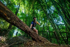 BIB: 
                            <button type="button" onclick="openModal(19000350)" class="btn btn-primary btn-sm float-right btn-popup" data-toggle="modal" data-target=".modal-high-quality">
                        <i class="fas fa-shopping-cart"></i> Add to Cart
                    </button>
                                            <button type="button" onclick="isThisMe(19000350, true)" class="btn btn-success btn-sm float-right btn-popup btn-isme hidden" data-toggle="tooltip" data-placement="bottom" title="นี่คือรูปของคุณใช่ไหม คลิกที่นี่เพื่อเอาเข้าอัลบั้ม">
                        <i class="fas fa-plus"></i> Add to album
                    </button>
                    <button type="button" onclick="isThisMe(19000350, false)" class="btn btn-warning btn-sm float-right btn-popup btn-isnotme hidden">
                        <i class="fas fa-ban"></i> Remove from album
                    </button>