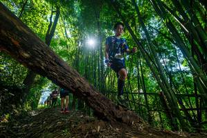 BIB: 
                            <button type="button" onclick="openModal(19064056)" class="btn btn-primary btn-sm float-right btn-popup" data-toggle="modal" data-target=".modal-high-quality">
                        <i class="fas fa-shopping-cart"></i> Add to Cart
                    </button>
                                            <button type="button" onclick="isThisMe(19064056, true)" class="btn btn-success btn-sm float-right btn-popup btn-isme hidden" data-toggle="tooltip" data-placement="bottom" title="นี่คือรูปของคุณใช่ไหม คลิกที่นี่เพื่อเอาเข้าอัลบั้ม">
                        <i class="fas fa-plus"></i> Add to album
                    </button>
                    <button type="button" onclick="isThisMe(19064056, false)" class="btn btn-warning btn-sm float-right btn-popup btn-isnotme hidden">
                        <i class="fas fa-ban"></i> Remove from album
                    </button>